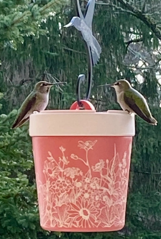 Annas Healthy Hummingbird Feeder