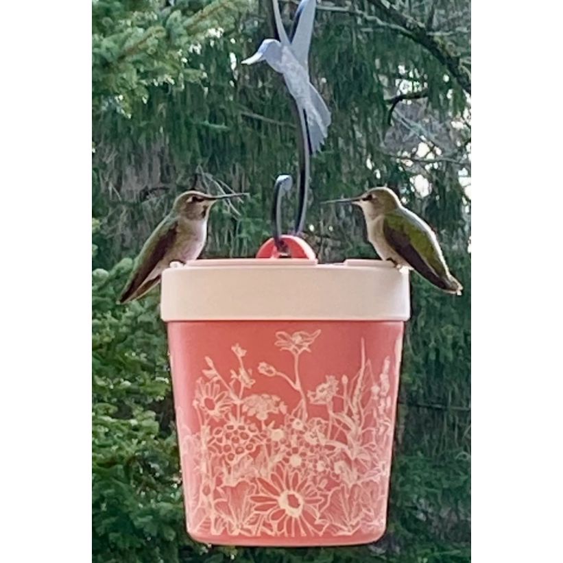Annas Healthy Hummingbird Feeder