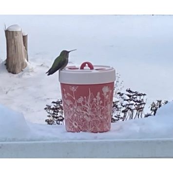 Annas Healthy Hummingbird Feeder