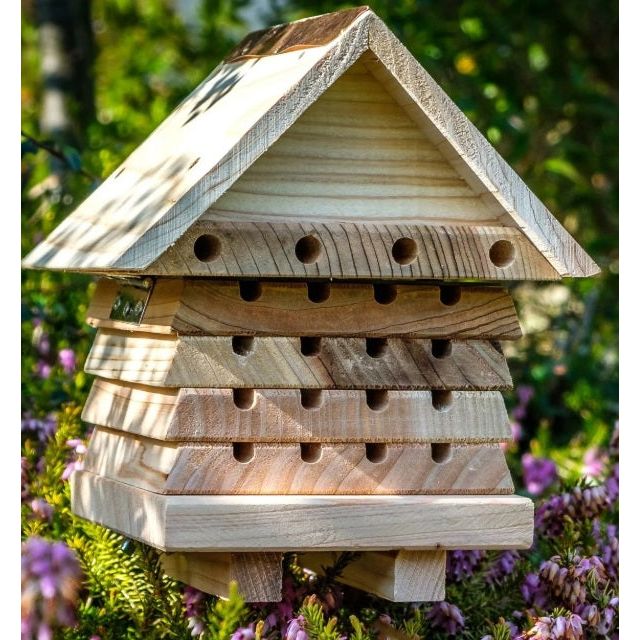 Interactive Solitary Mason Bee House
