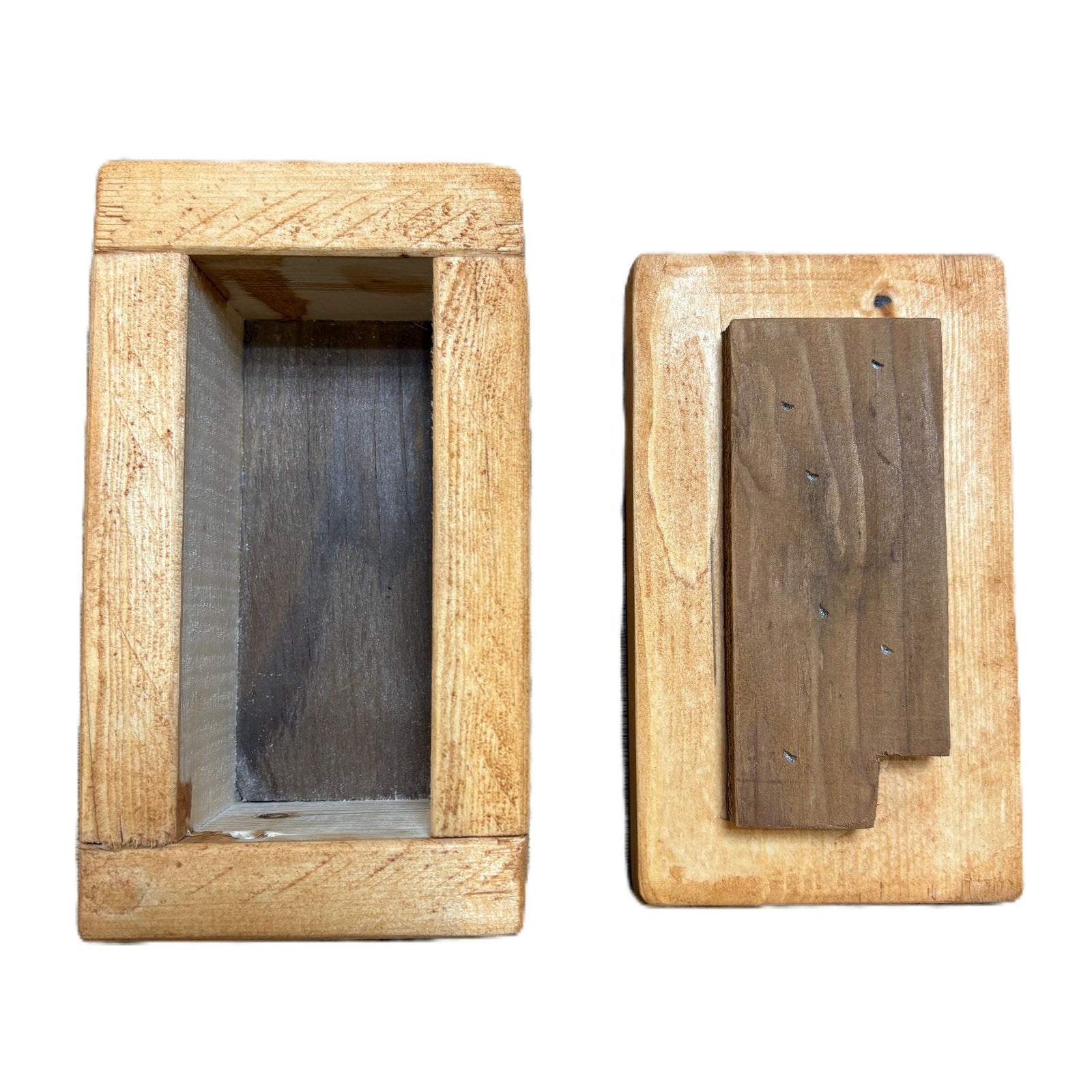 Mason Bee Over-Wintering Hatching Box