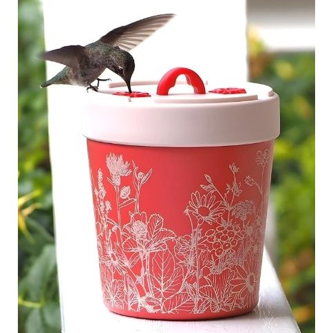 Annas Healthy Hummingbird Feeder