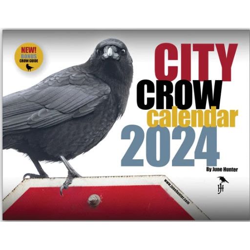 City Crows Calendar 2024 by June Hunter Backyard Bird Centre