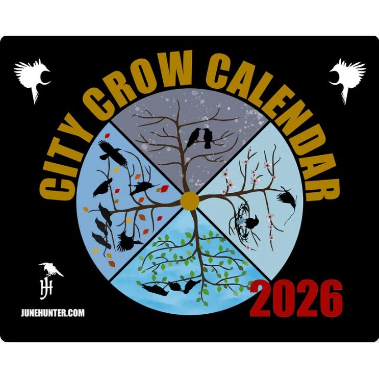 City Crows Calendar 2026 by June Hunter