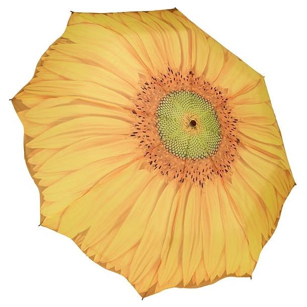 Umbrella Sunflower by Galleria