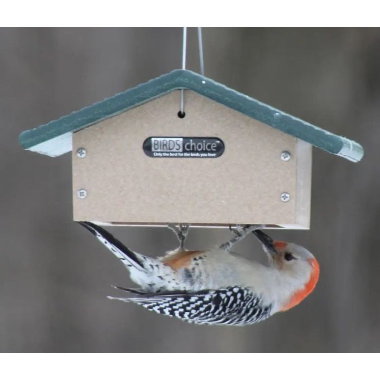 Birds Choice Recycled Upside Down Suet Feeder
