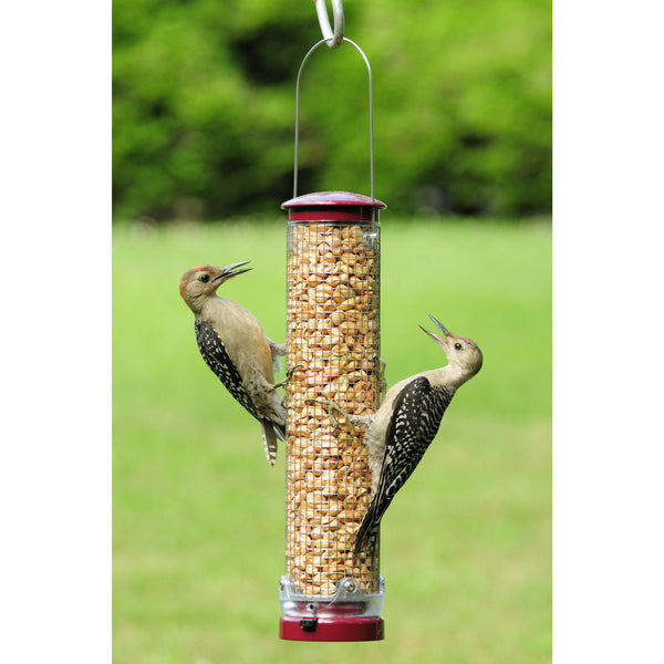 Aspects Large Peanut Mesh Silo Feeder Backyard Bird Centre