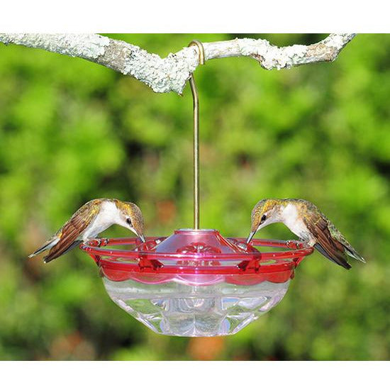 Aspects Humm Blossom Hummingbird Feeder