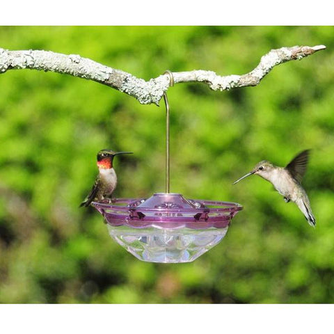 Image of Aspects Humm Blossom Hummingbird Feeder