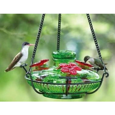 Parasol Bloom Perch Hummingbird Feeder
