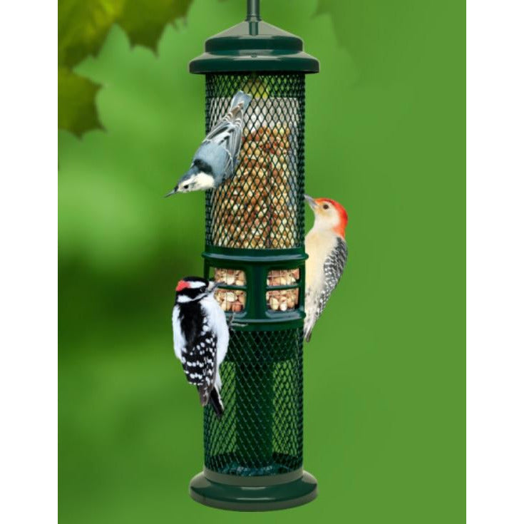 Squirrel Buster Peanut Feeder
