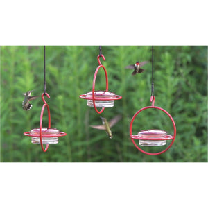 Hanging Sphere Hummingbird Feeder with Perch