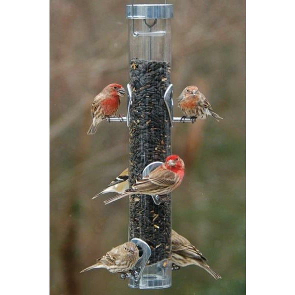 Droll Yankees Ring-Pull Feeder 16"