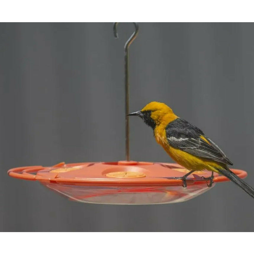 Nectar & Fruit Oasis Oriole Feeder