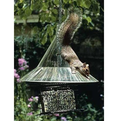 Arundale Squirrel Baffle/Dome