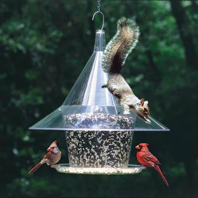 Sky Cafe Squirrel Proof Bird Feeder