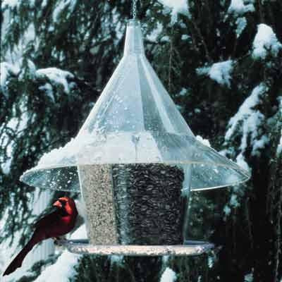 Sky Cafe Squirrel Proof Bird Feeder