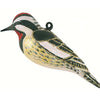 Yellow-Bellied Sapsuckerl Ornament from Cobane