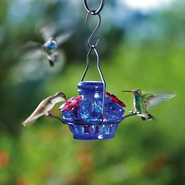 Parasol Pot De Creme Moon & Stars Hummingbird Feeder Backyard Bird Centre