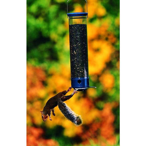 Image of Droll Yankee Whipper Squirrel Proof Bird Feeder