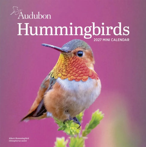 Audubon Mini Calendar Hummingbirds 2027