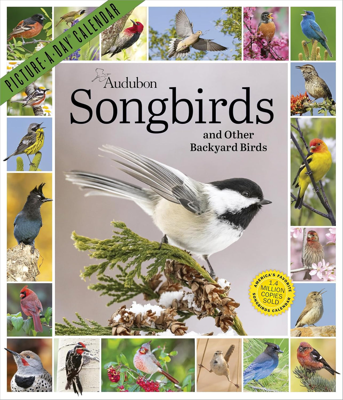 Audubon Songbirds Calendar 2027