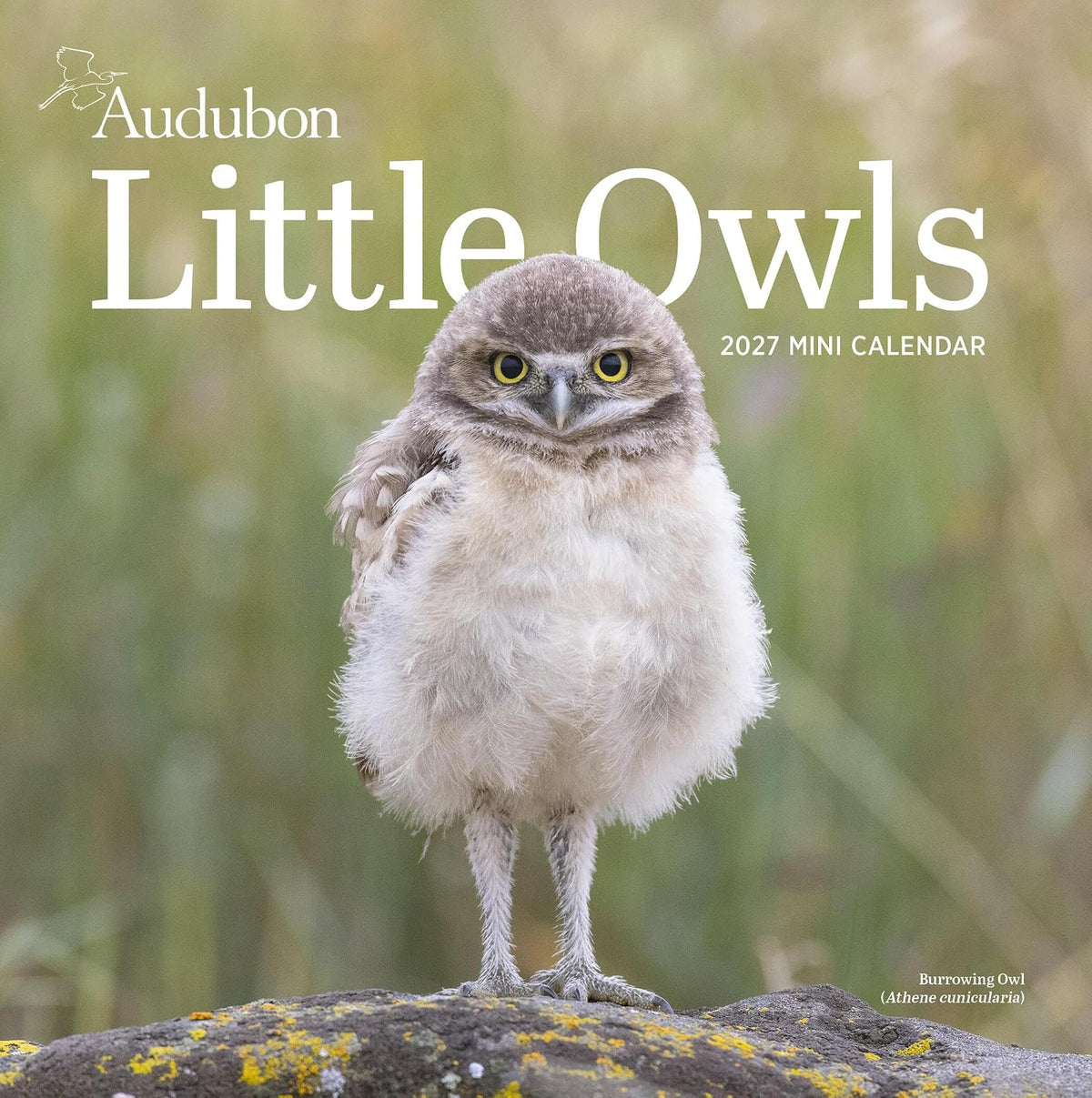 Audubon Mini Calendar Owls 2027