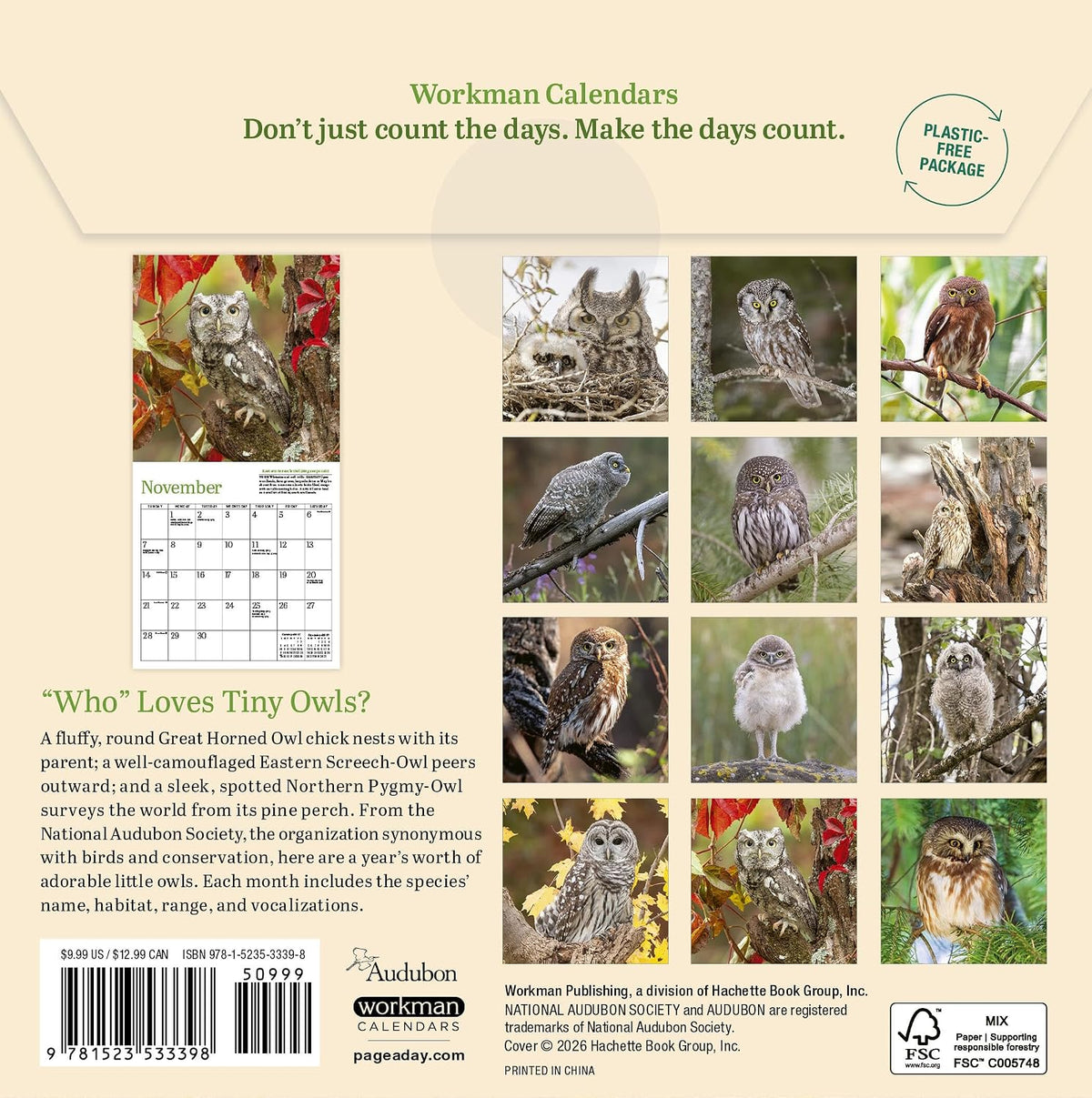 Audubon Mini Calendar Owls 2027