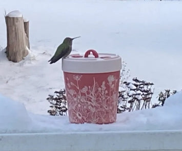 Annas Healthy Hummingbird Feeder