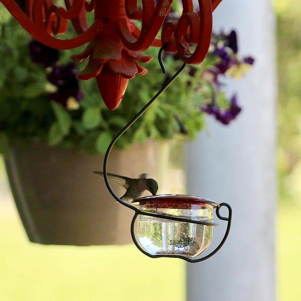 Backyard Essentials Glass and Metal Hummingbird Feeder