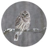 Andreas Silicone Trivet - Barred Owl