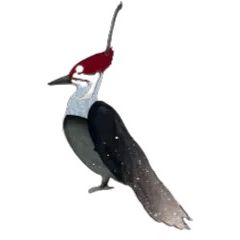 Pileated Woodpecker Ornament from Bear Hill Studios