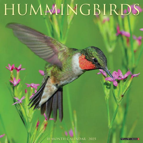 Image of Hummingbird Calendar 2025