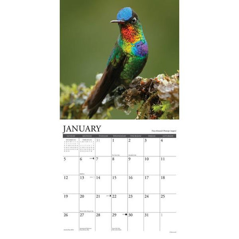 Image of Hummingbird Calendar 2025