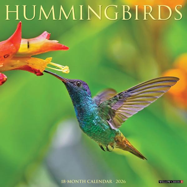 Hummingbird Calendar from Willow Creek 2026