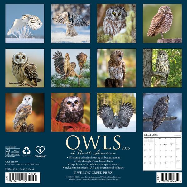 Owl Calendar from Willow Creek 2026