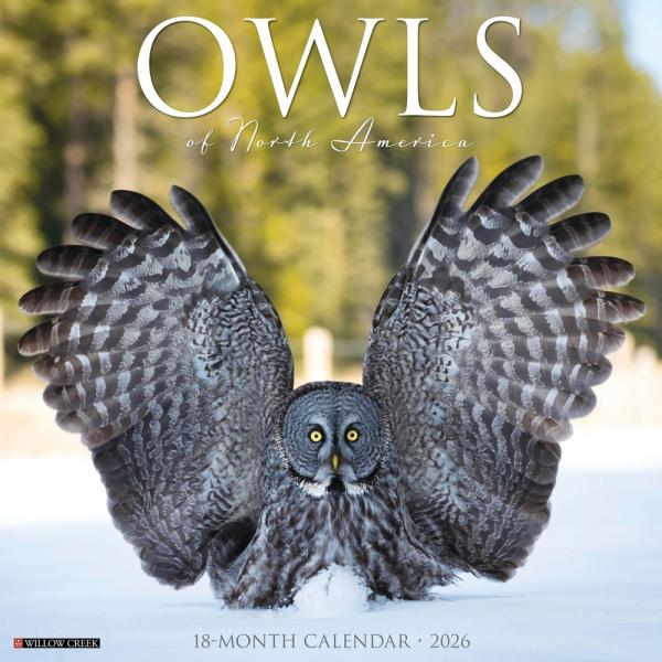 Owl Calendar from Willow Creek 2026