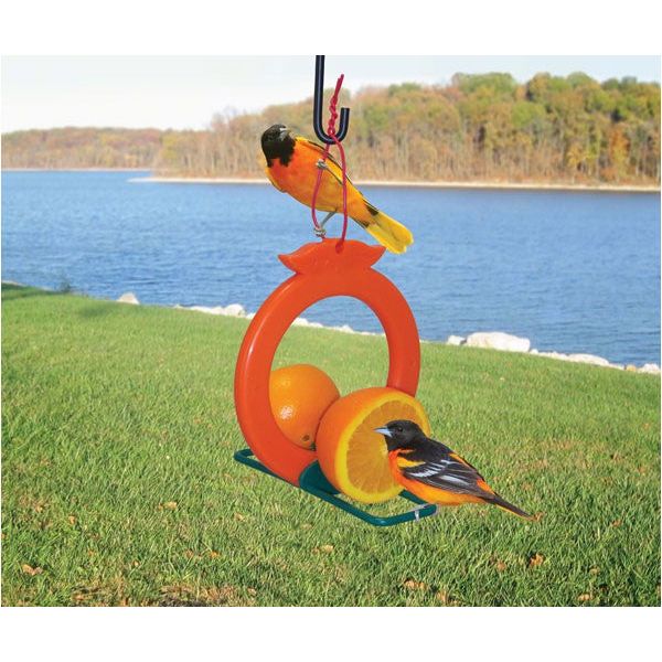 Double Orange Oriole Feeder