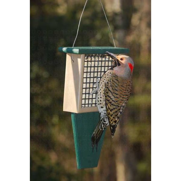 Songbird Essentials Medium Tail Prop Suet Feeder