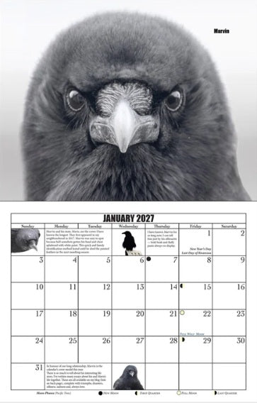 City Crows Calendar 2027 by June Hunter