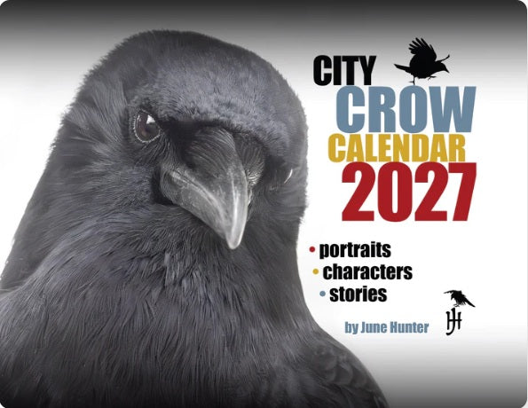 City Crows Calendar 2027 by June Hunter