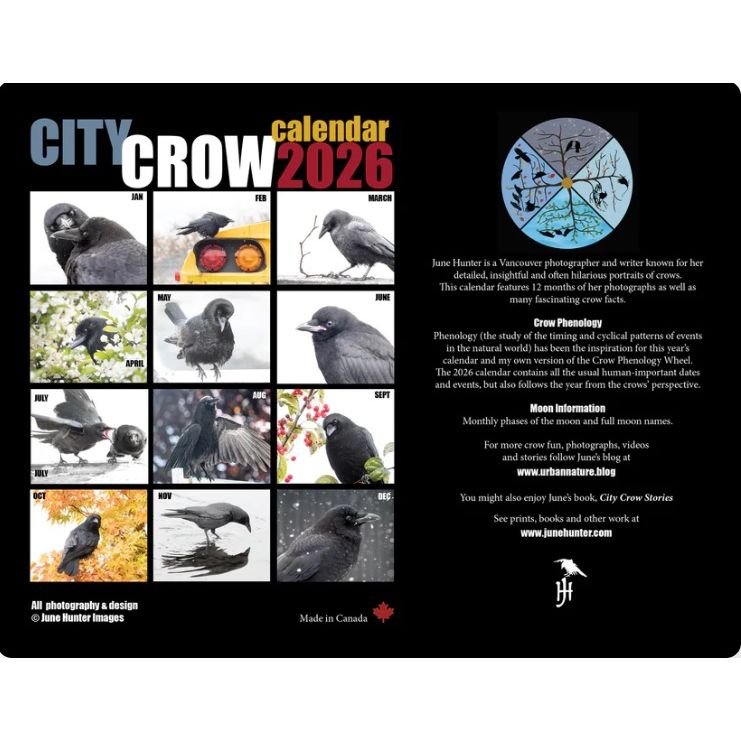 City Crows Calendar 2026 by June Hunter