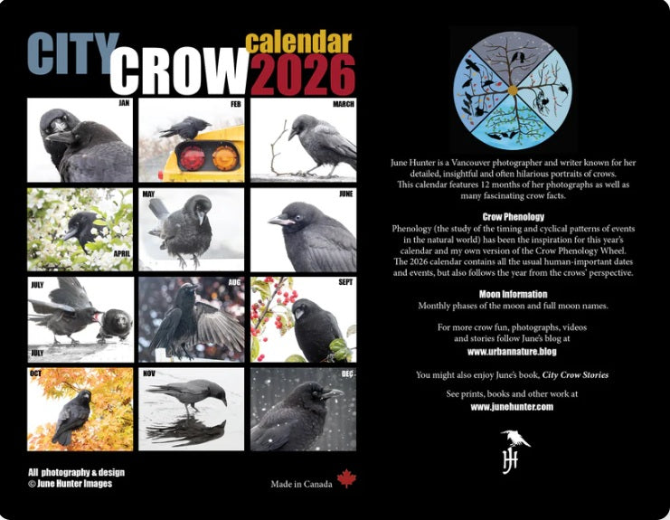 City Crows Calendar 2026 by June Hunter