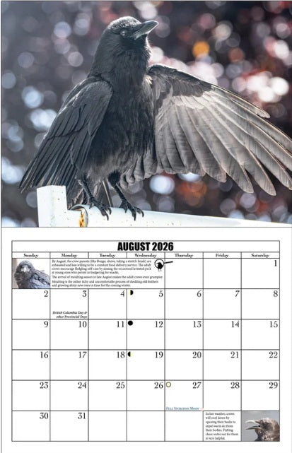 City Crows Calendar 2026 by June Hunter