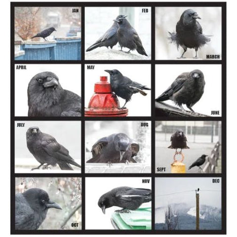 Image of City Crows Calendar 2024 by June Hunter