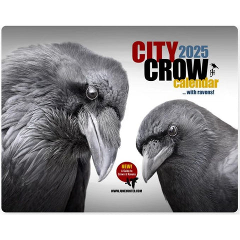 Image of City Crows Calendar 2025 by June Hunter