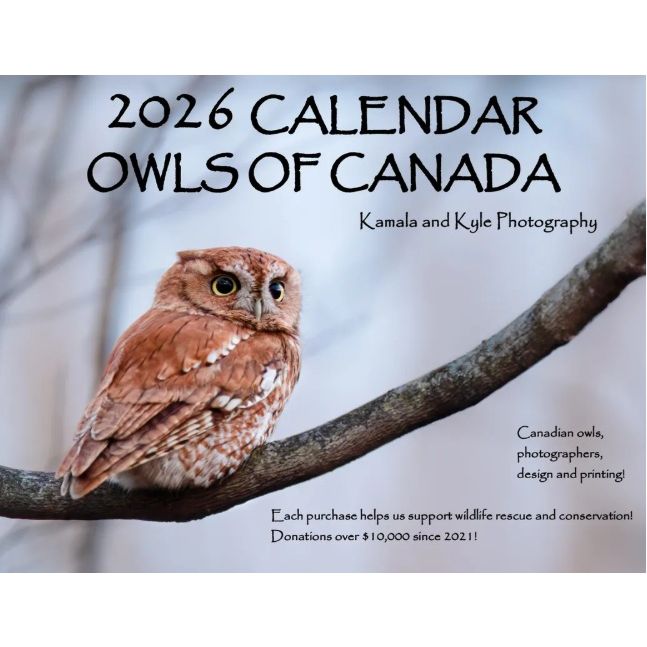 Owls of Canada Calendar 2026 by Kamala and Kyle Photography