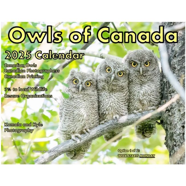 Owls of Canada Calendar 2025 by Kamala and Kyle Photography