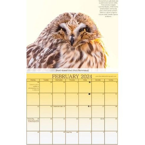 Image of Owls of Canada Calendar 2024 by Kamala and Kyle Photography