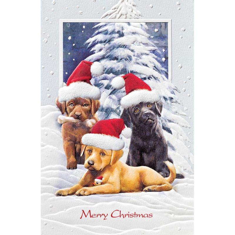 Pumpernickel Press Christmas Cards Trio of Trouble